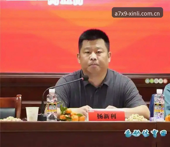 新利体育官网服务全面解析：从下载到极致体验的深度分析