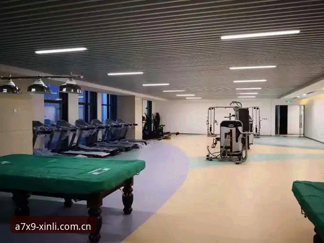 新利体育安装使用技巧实用指南：从下载到极致体验的全流程解析